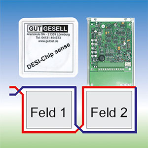 Hin-Weg-Laufsignalisierung